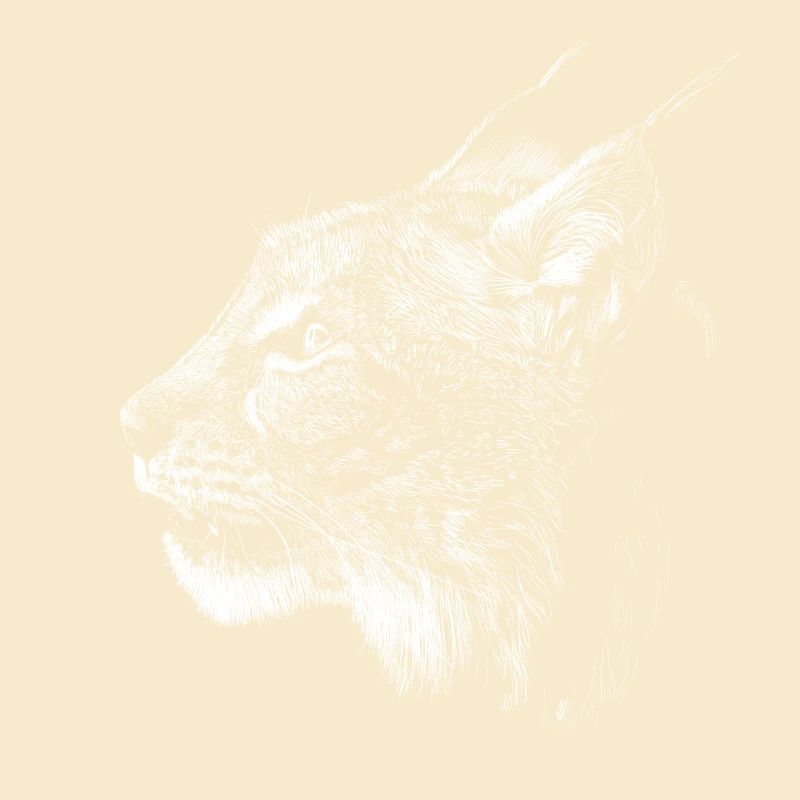lynx