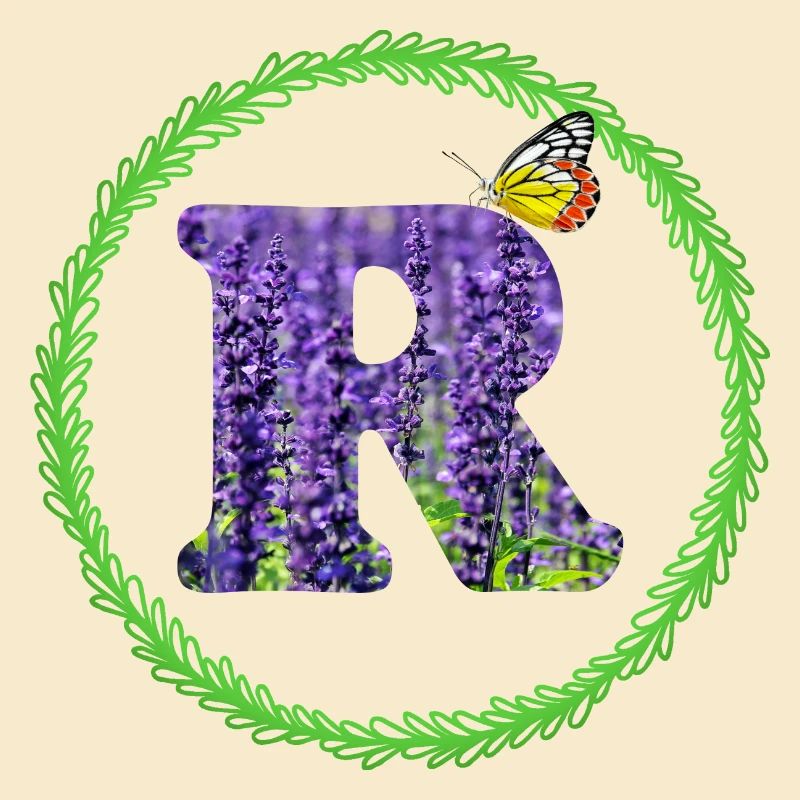 lavender r