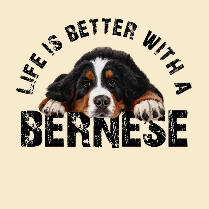Bouvier bernois