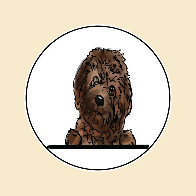Cavapoo Dog for Peeking Dog Lovers