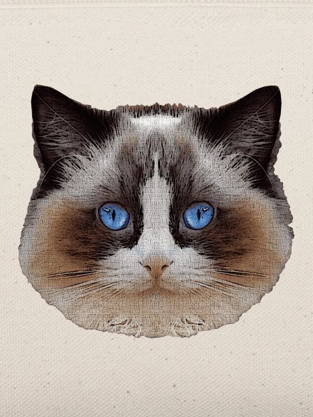 Ragdoll, samtpfote, Katzen design