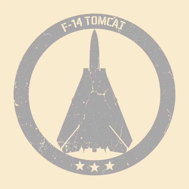 F14 Tomcat Flugzeug Militär Luftfahrt Emblem Patch
