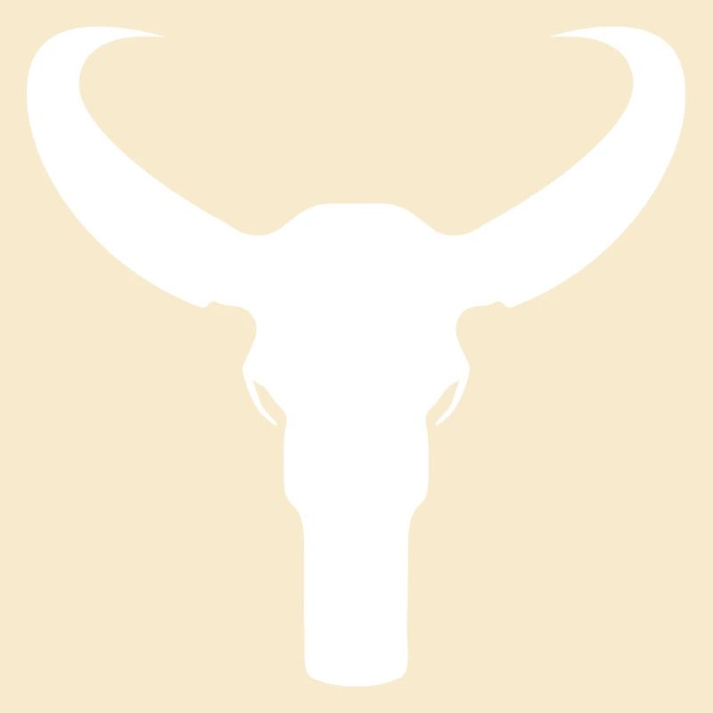 Bull Skeleton