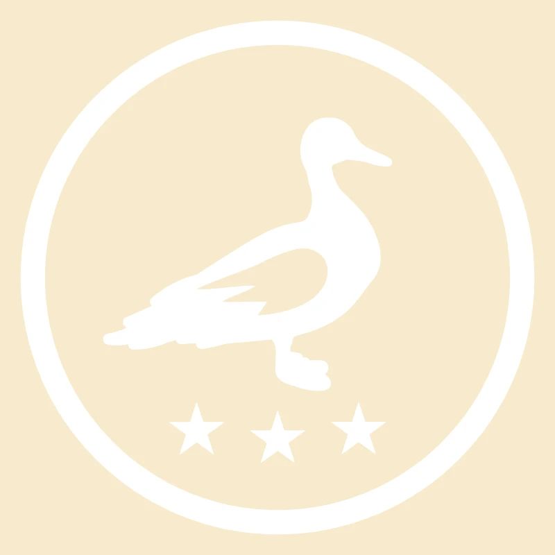 Duck animal