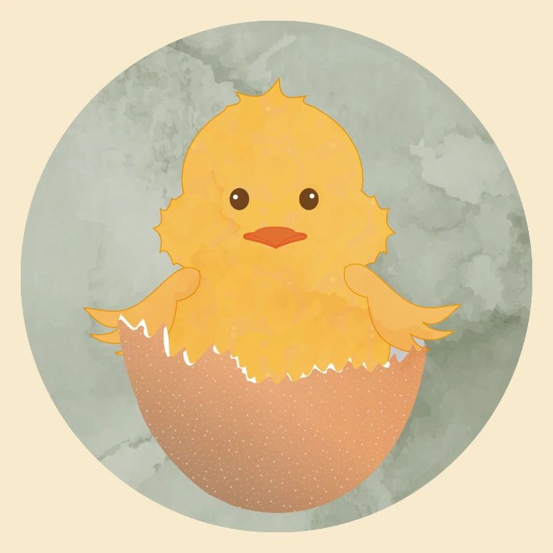 poussin nouvellement éclos dans la coquille d’œuf