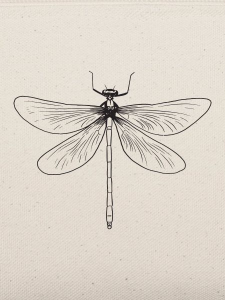 Libelle