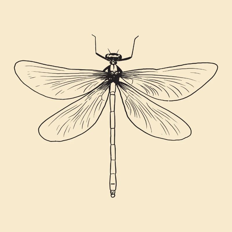 Libelle