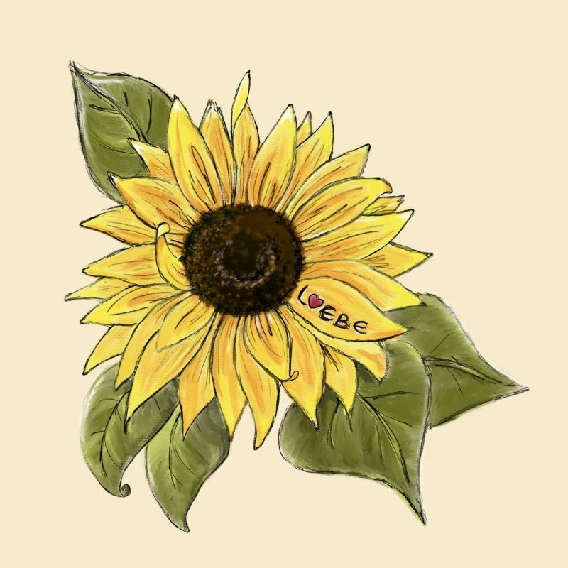 Sonnenblume 🌻