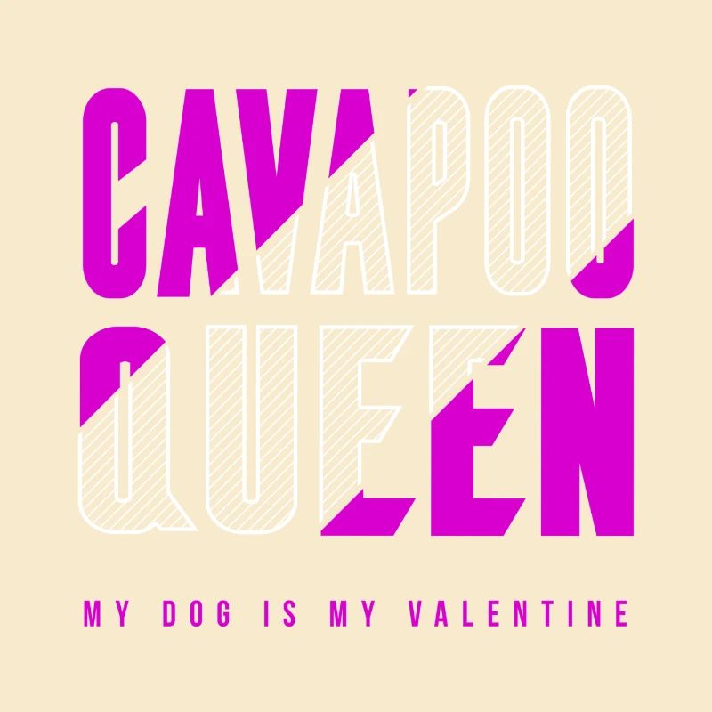 Cavapoo Königin