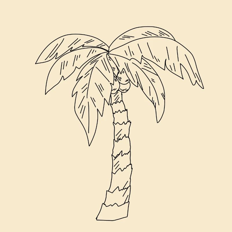 Palm Tree Drawing
