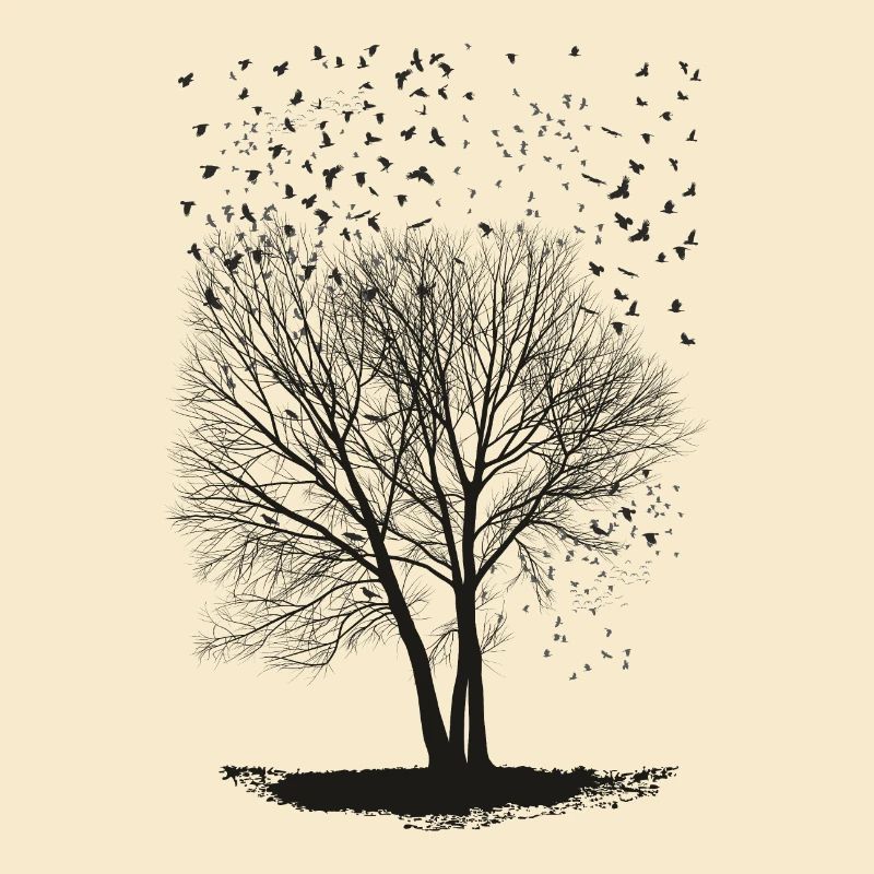 Ravens on a Poplar trees2