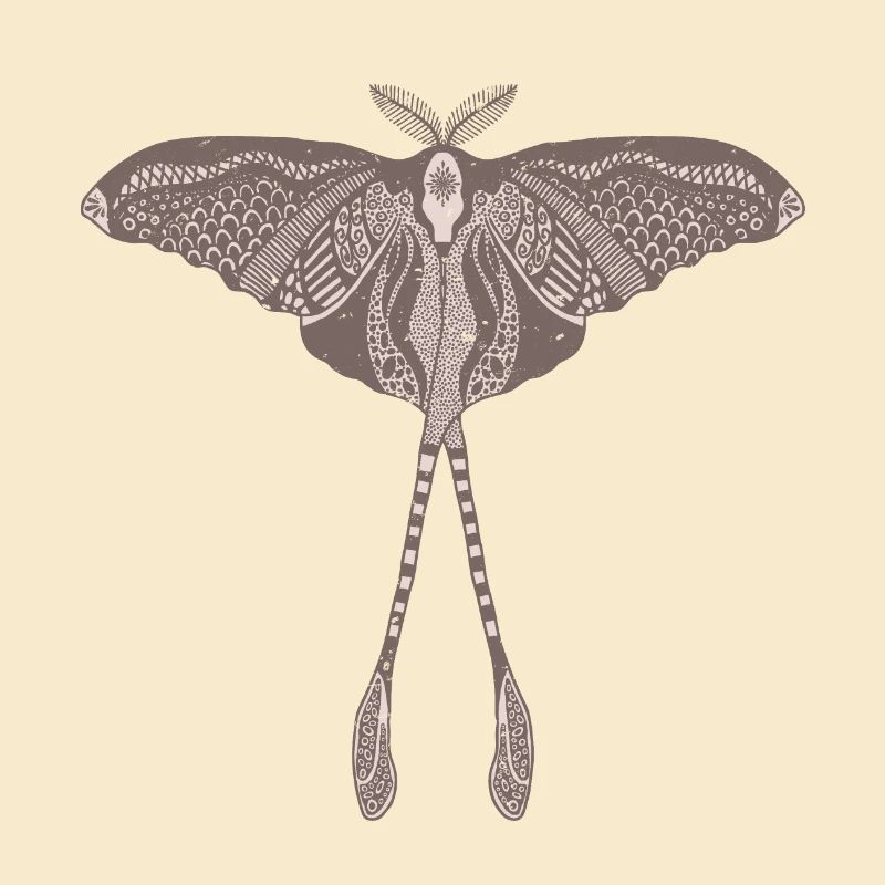 Papillon de lune chinois - Luna Moon Moth