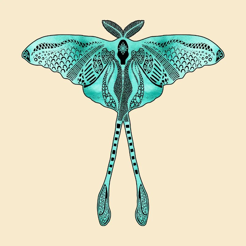 Chinesische Mondmotte - Luna Moon Moth