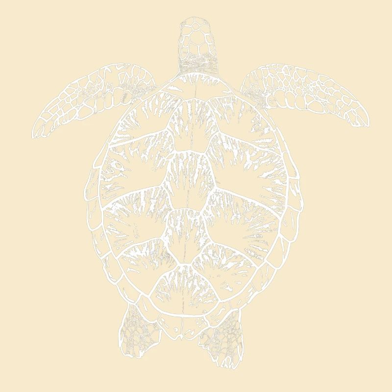 Turtle white2