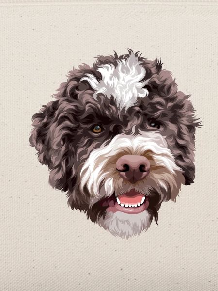Lagotto Romagnolo