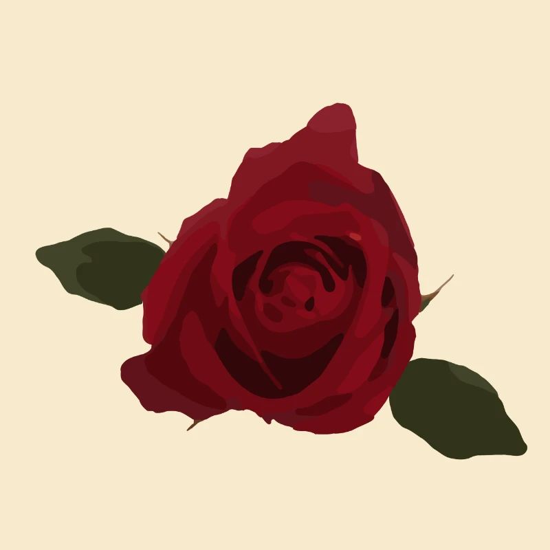 Rose rouge, fleur, vue de dessus