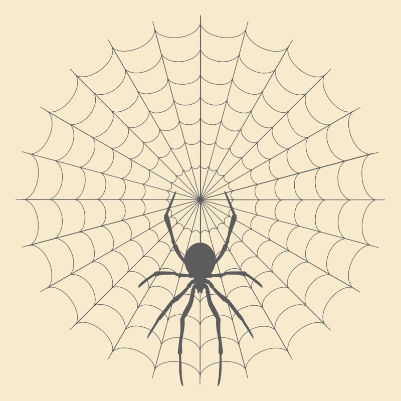 Spinnennetz Silhouette