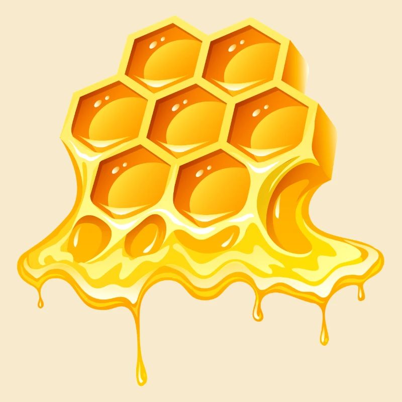 honey, beekeeper, beekeeper