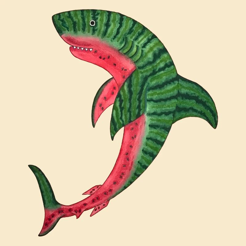 melon requin melon requin poisson melon kawaii plongée
