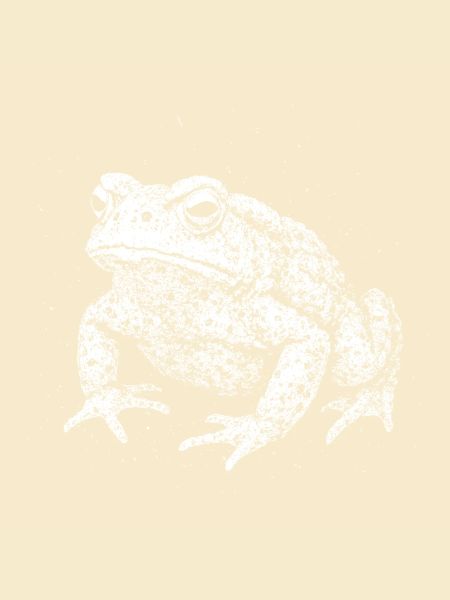 Toad