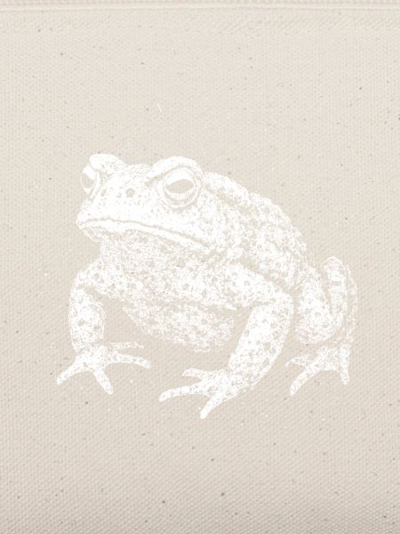 Kröte