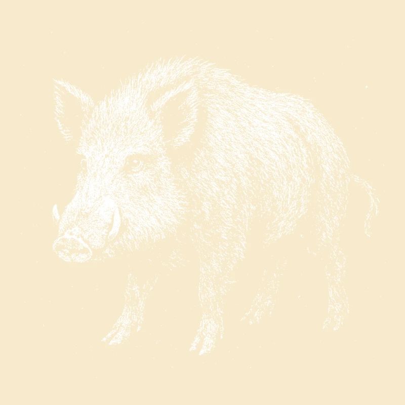 Wild boar