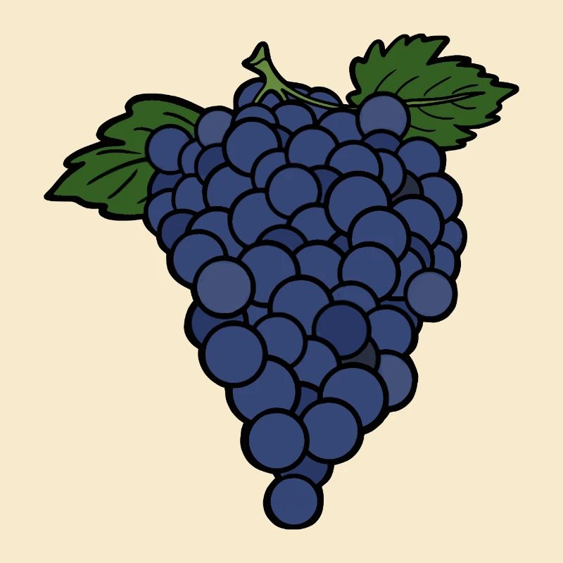 Delicious Fruit Grape