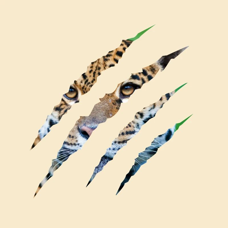 Wild Instinct – Tigeraugen durch die Klaue