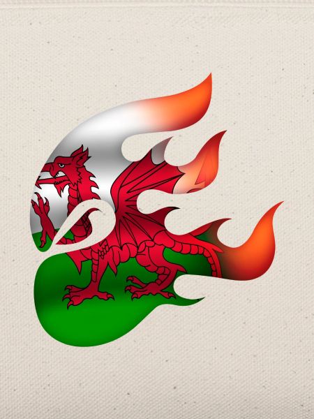 Flagge von Wales - Walisisch - Ninja