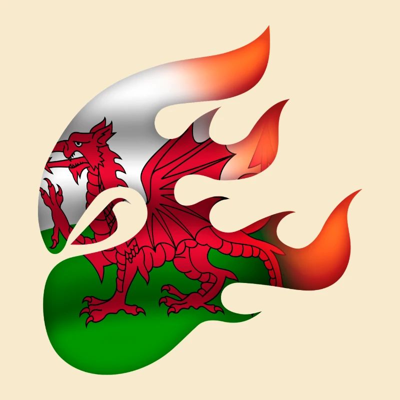 Flagge von Wales - Walisisch - Ninja