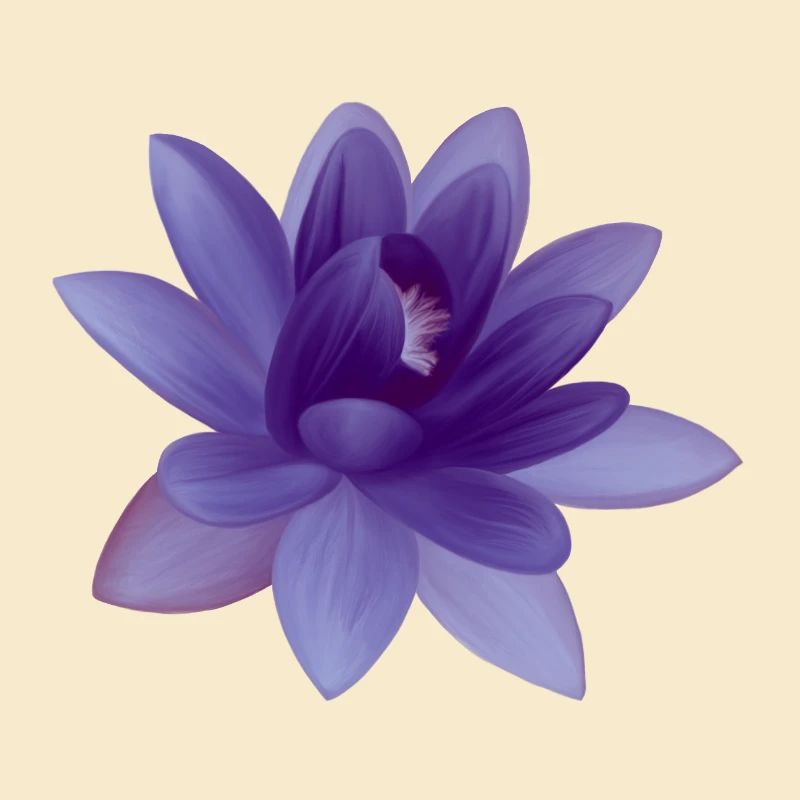 Illustration de fleur