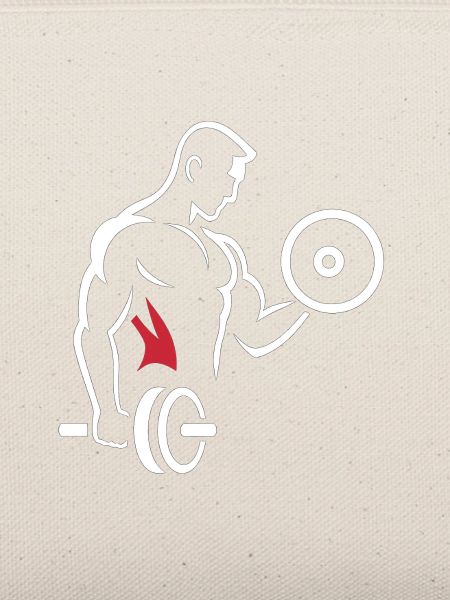 Muskeltraining mit Hantel und Scheibe