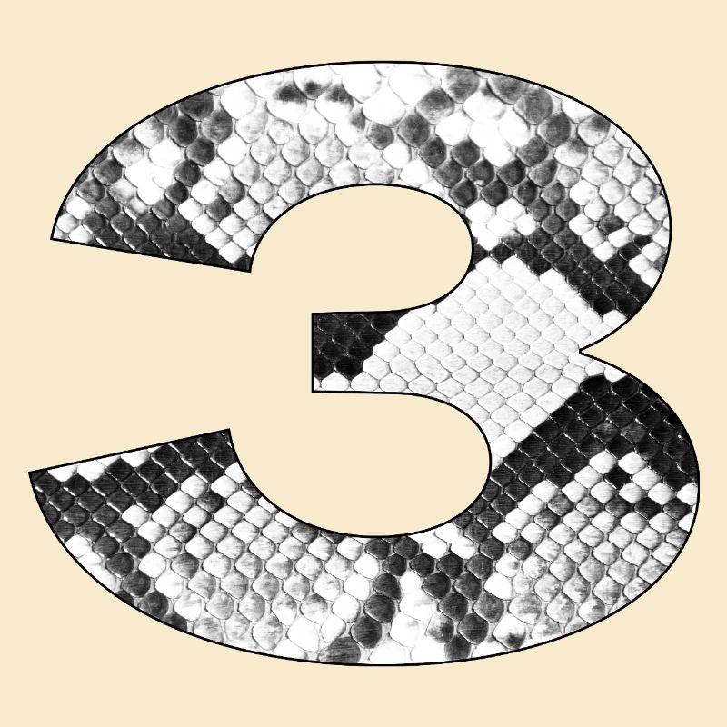 Snakeskin Pattern Number 3