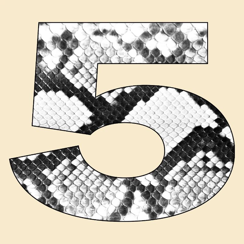 Snake Pattern Number 5