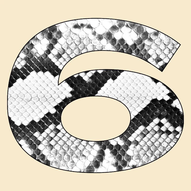 Snake Pattern Number 6