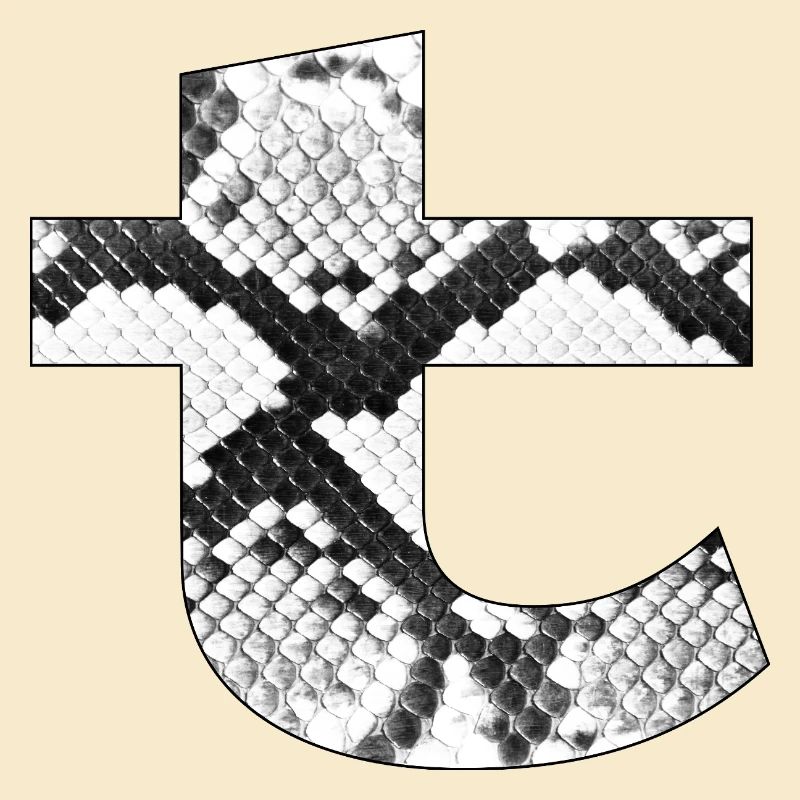Snake Skin Muster Buchstabe t