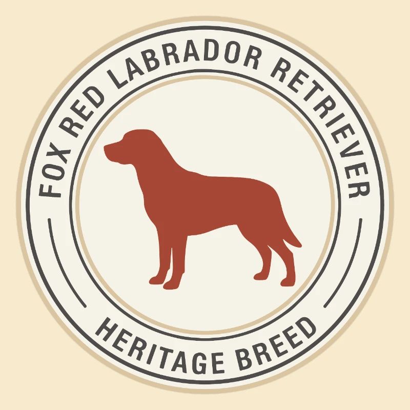Labrador Retriever Emblem Design