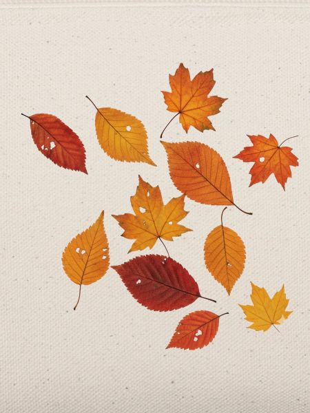 Herbstblätter ohne Rand
