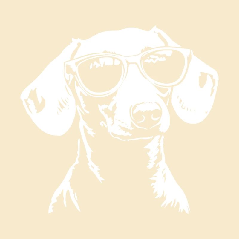 Lunettes de soleil teckel