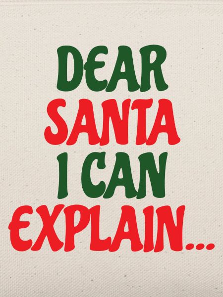 Dear Santa I Can Explain