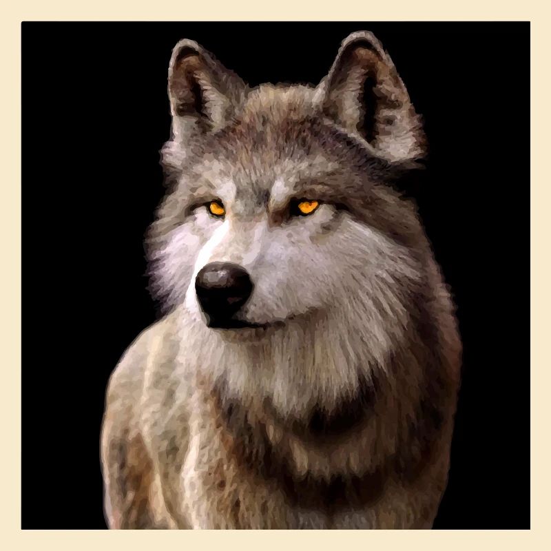 Wolfsblick Bernstein im Dunkel