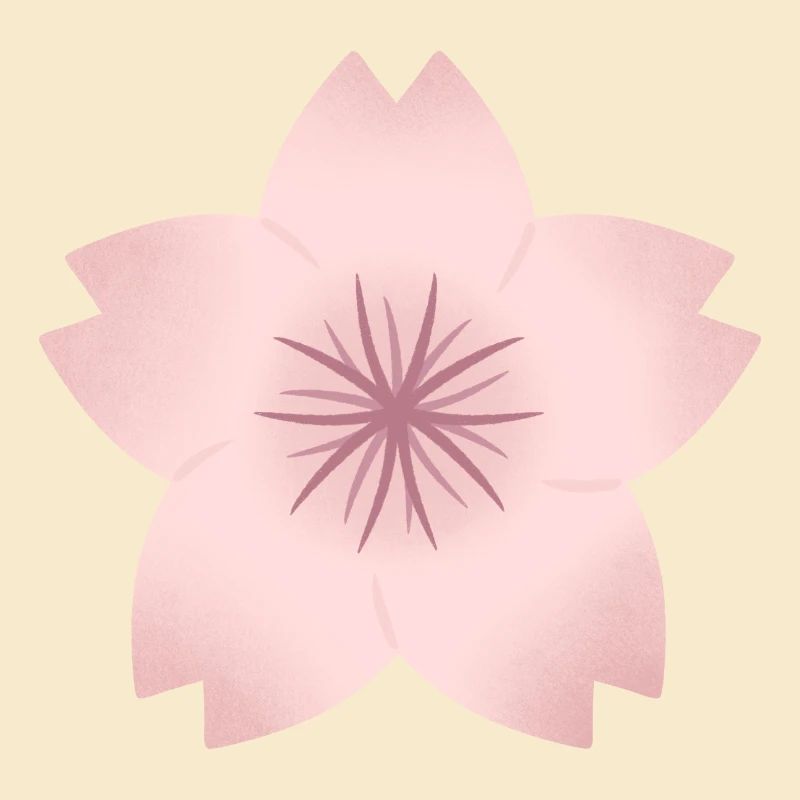 Rouge Kirschblüte