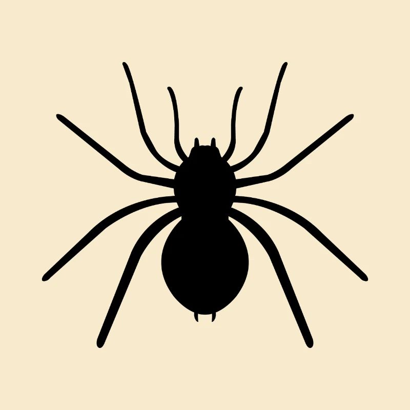 spider