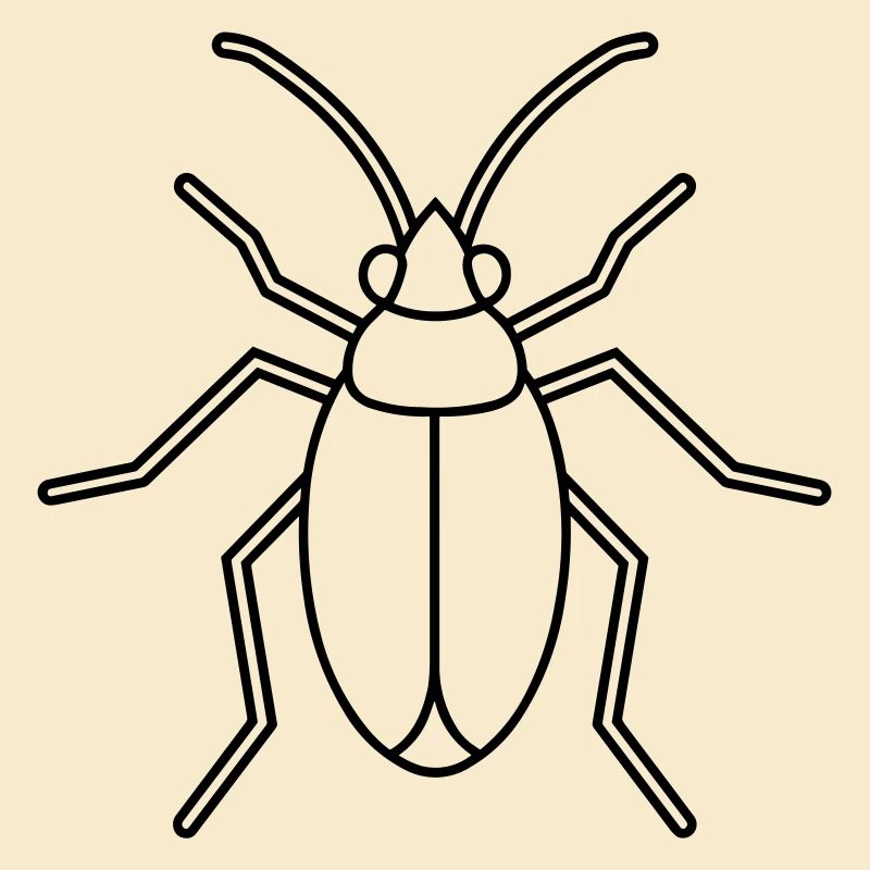 Aphid
