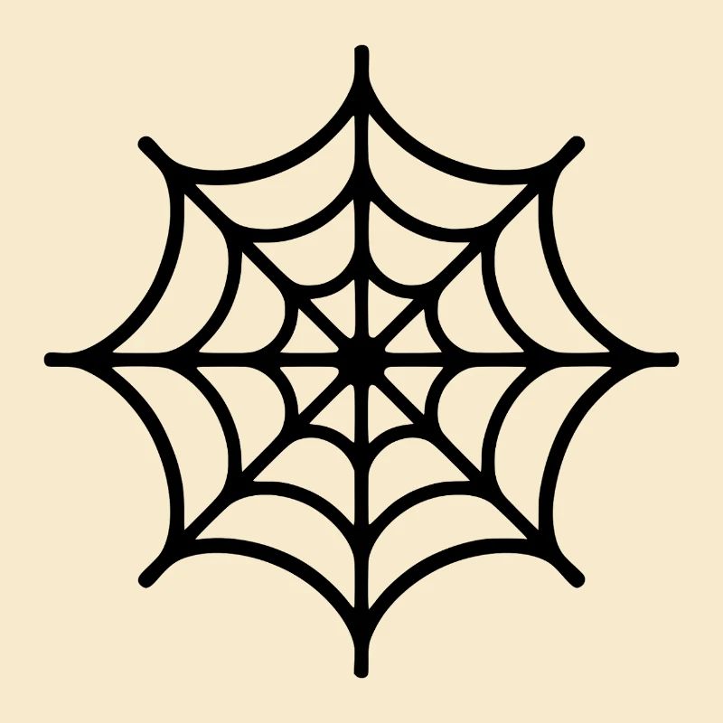 Spinnennetz Spinne