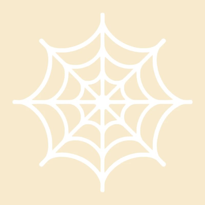 Spider Web Spider