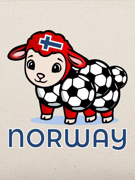 Norwegischer Schaffußball