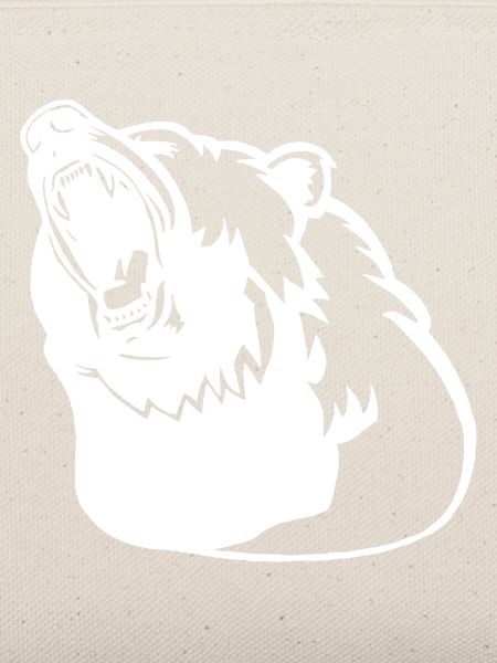 Das Erwachen des Eisbären