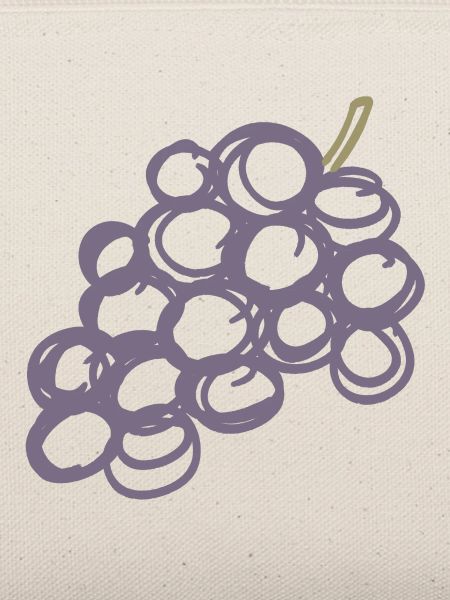 Lavendeltrauben-Cluster-Illustration