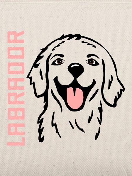 Glückliche Hunde Labrador